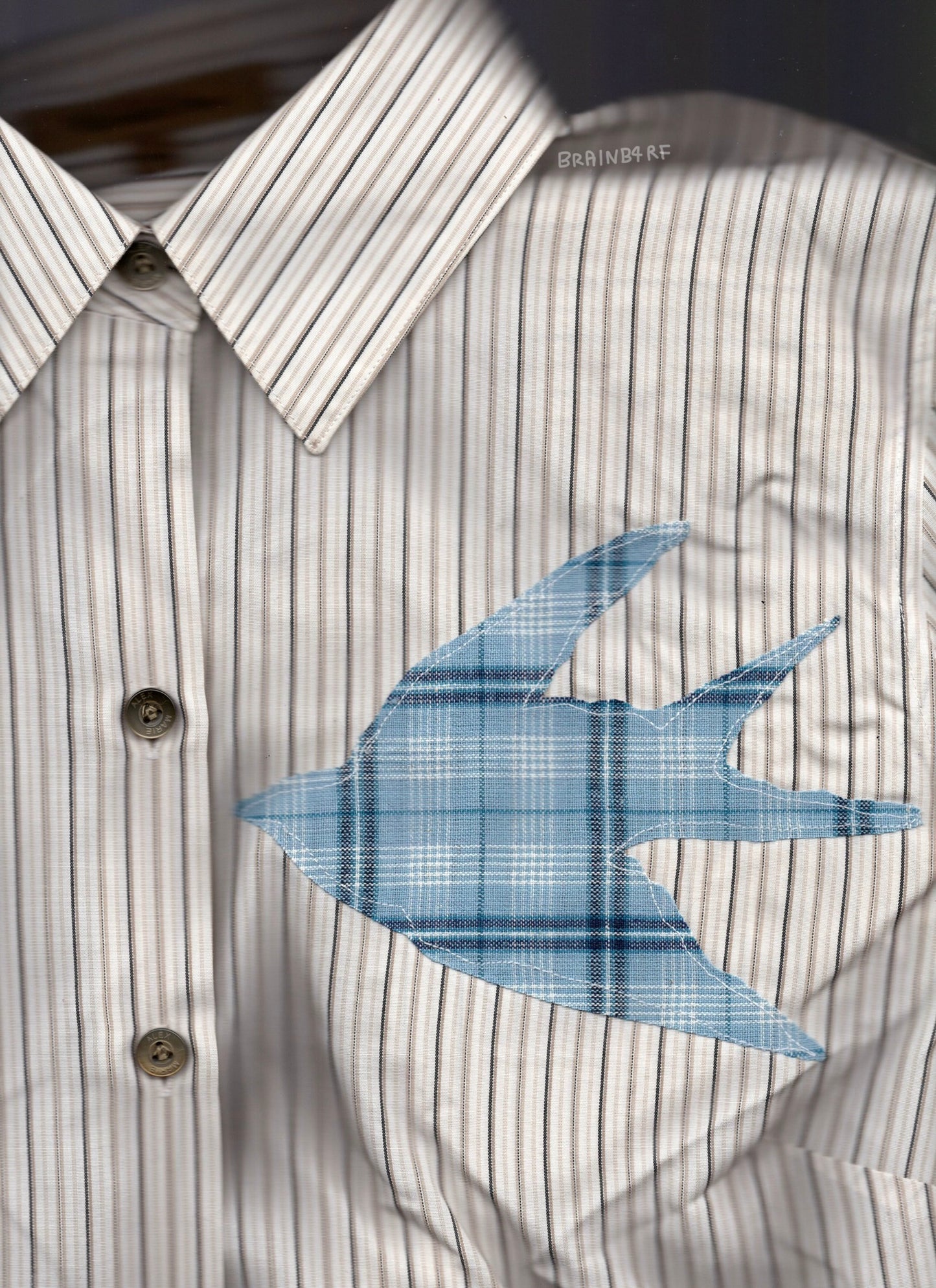 bird button up