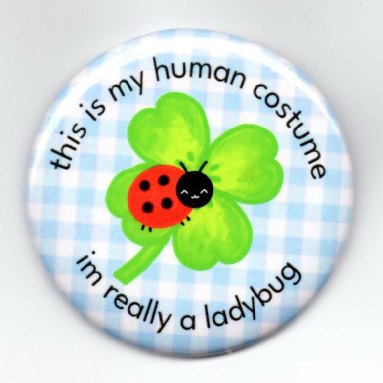 ladybug button