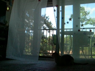 star curtains *MADE TO ORDER*